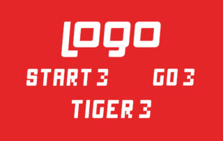 Formeras Türkçe CRM ile Logo Start, Logo Go ve Logo Tiger Entegrasyonu Nasıl Çalışır?